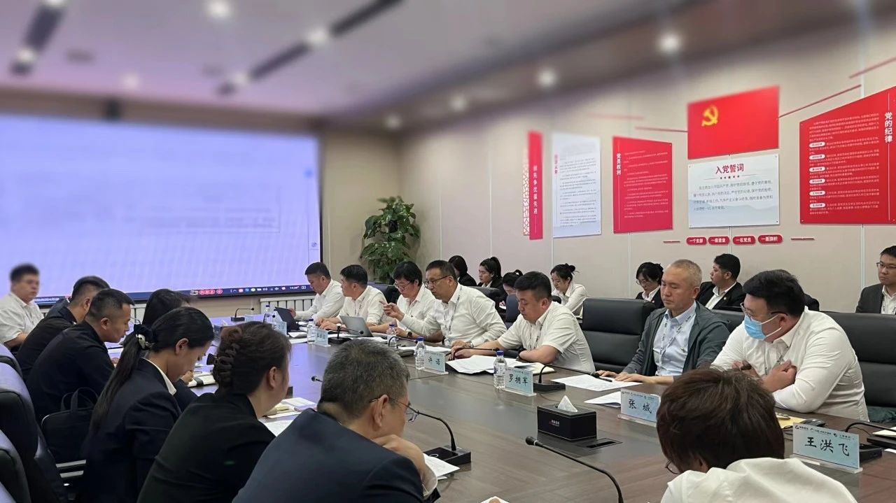 “聚焦全面预算指标，助力运营效能提升”老街腾龙、温泉、公服集团召开5月份经营管理协调会
