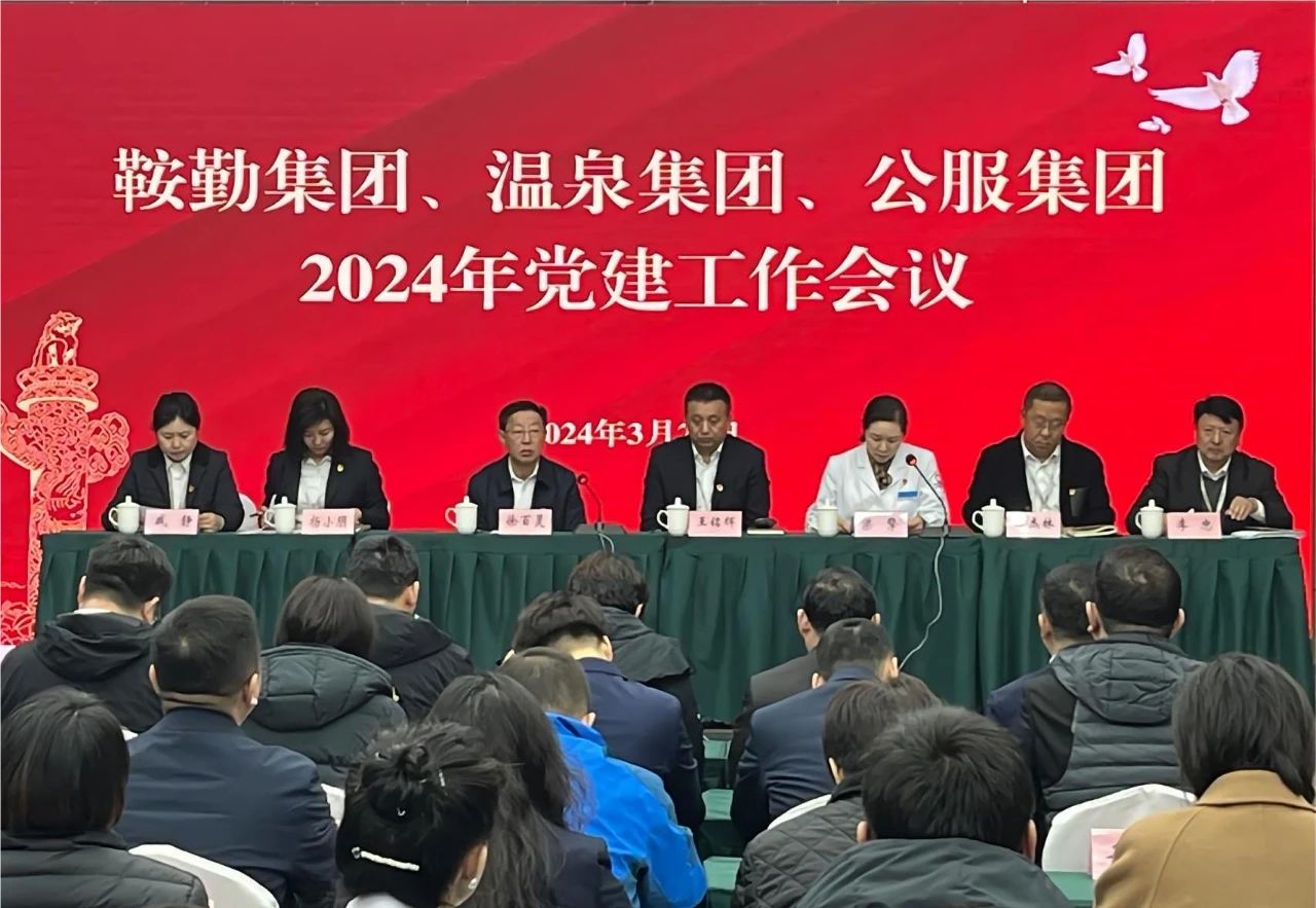 老街腾龙集团、温泉集团、公服集团召开“2024年党建工作会议”“2024年党风廉政建